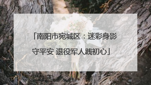 南阳市宛城区：迷彩身影守平安 退役军人践初心